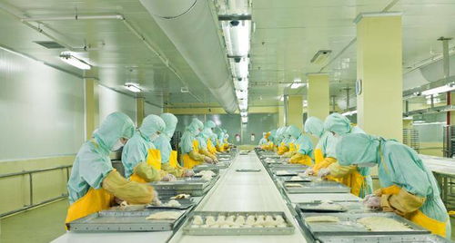 糯米丸子成網(wǎng)紅小吃,工廠每月趕制3噸還不夠賣,為啥我們天冷想吃糯米