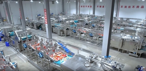 衛龍透明工廠:全鏈條守護,打造品質食品的新標桿