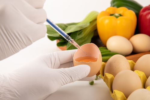 雞蛋食品安全農(nóng)業(yè)科技食品培育攝影圖 插畫 下載至來(lái)源處