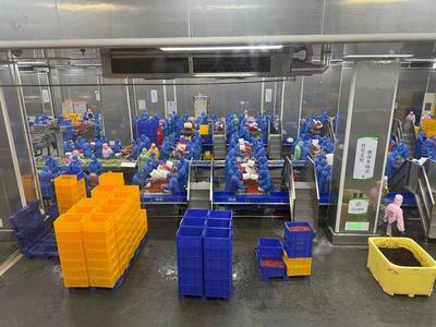 石首農(nóng)產(chǎn)品加工業(yè):開(kāi)足馬力生產(chǎn)忙 產(chǎn)銷(xiāo)兩旺勢(shì)頭好