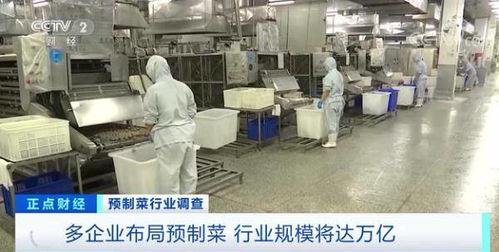 一個萬億元風(fēng)口要來 五一 假期這種食品,賣爆了