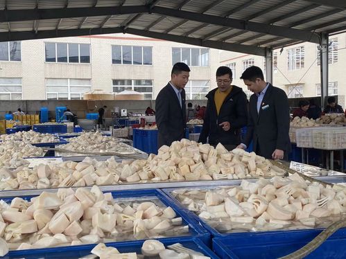 從 山間 到 舌尖 農(nóng)行福建龍巖分行支持農(nóng)業(yè)特色產(chǎn)業(yè)側(cè)記