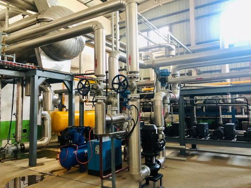 探廠國內(nèi)寵物食品凍干廠,國產(chǎn)凍干好不好,可以親自去工廠看看啊